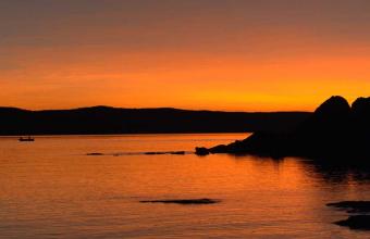 images/faqs/4-faqs-what-species-of-fish-will-we-catch-kimberley-fishing-tours.jpg