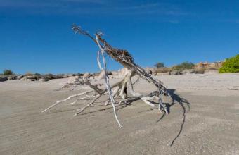 images/faqs/5-faqs-how-many-quests-can-come-kimberley-fishing-tours.jpg